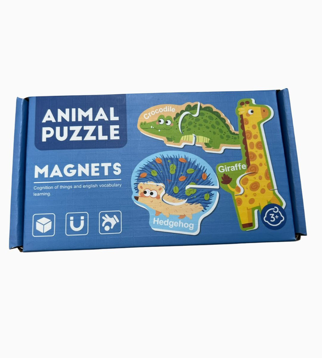 Vocabulary & Cognition of Things Magnet Puzzles