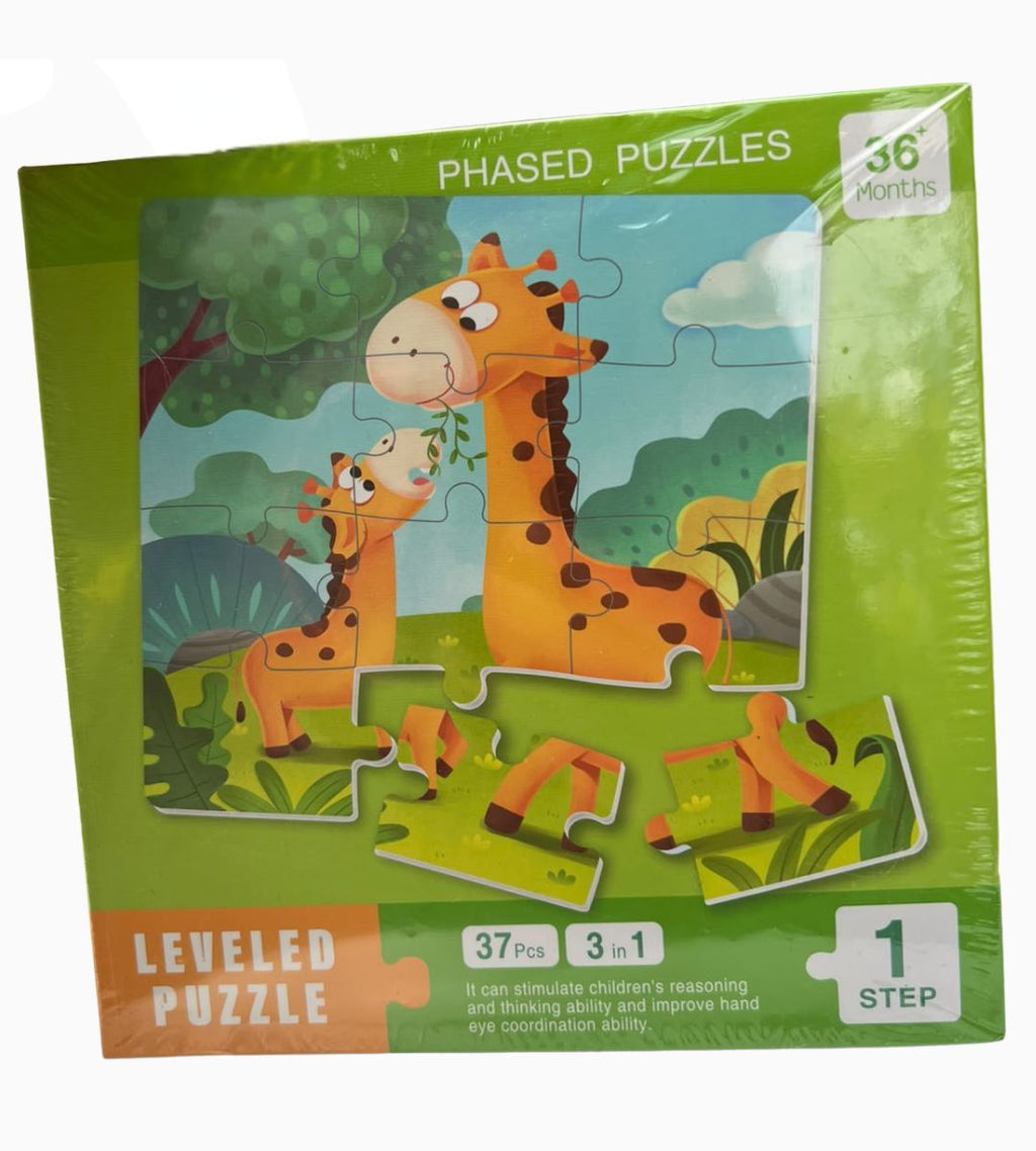 Magnet Puzzles