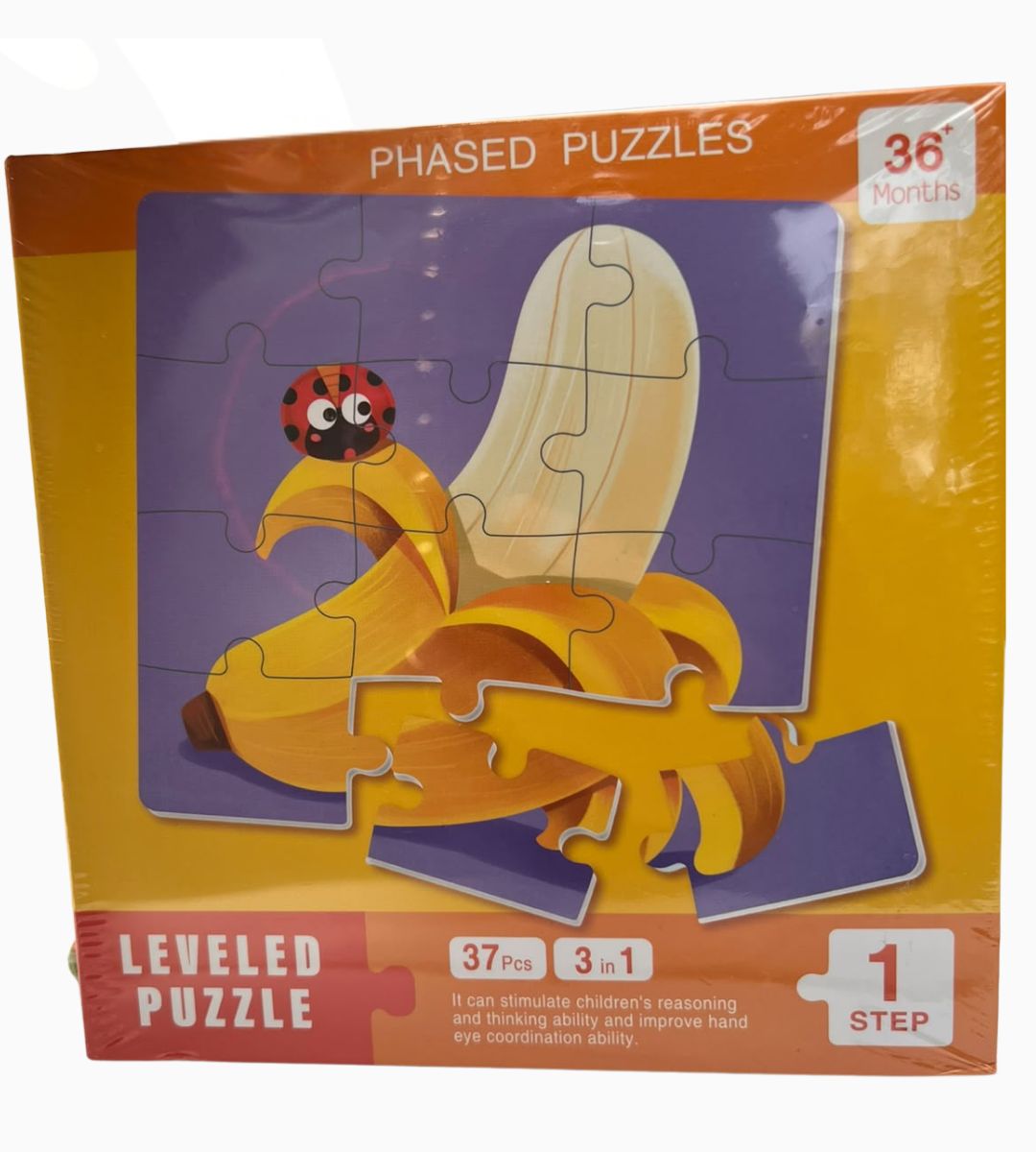 Magnet Puzzles